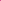 Pigmento Neon 8